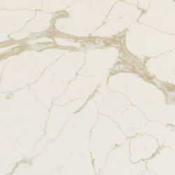 Infiniti_Gold_Detail