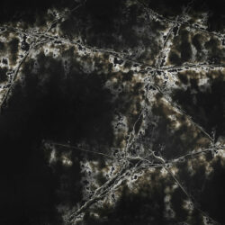 ice_black_bg