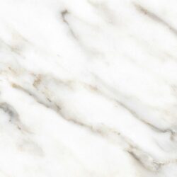 Symphony-Sharp-Detail